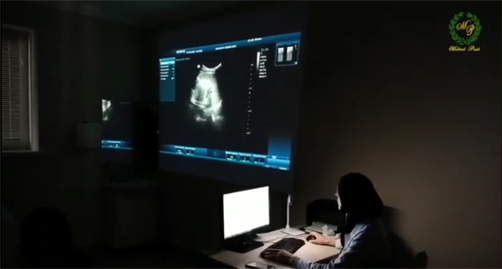 медикал парк